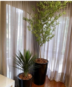 Folhagens Permanentes